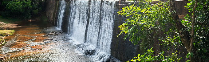 be my flora ダイヤモンドの層で磨かれた超軟水