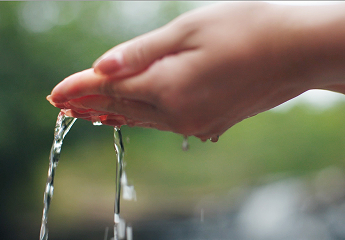 be my flora ブラジル大地の恵み