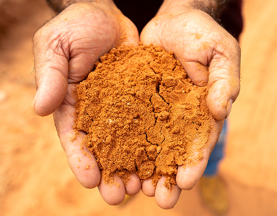 be my flora ブラジル大地の恵み