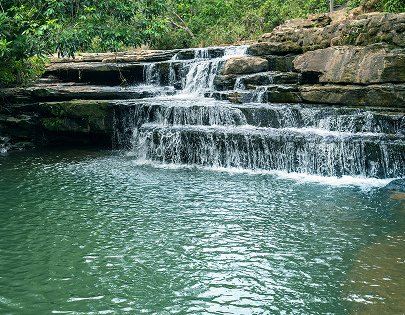 be my flora ブラジル大地の恵み