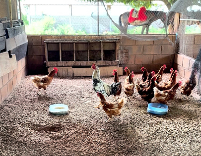 be my flora 10年熟成の軌跡