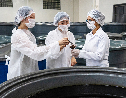 be my flora 10年熟成の軌跡