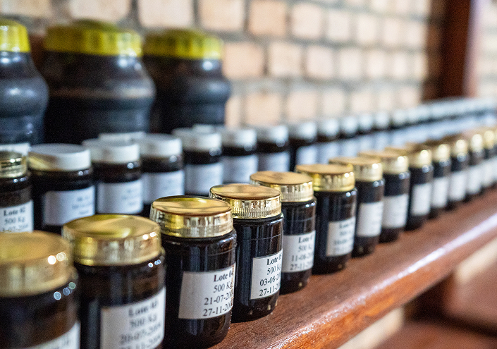 be my flora 10年熟成の軌跡