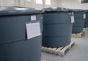 be my flora 10年熟成の軌跡