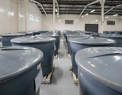 be my flora 徹底した衛生・品質管理