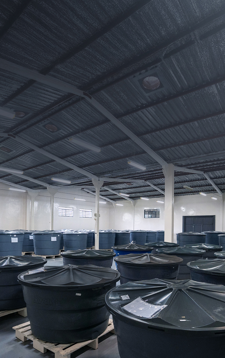 be my flora 徹底した衛生・品質管理