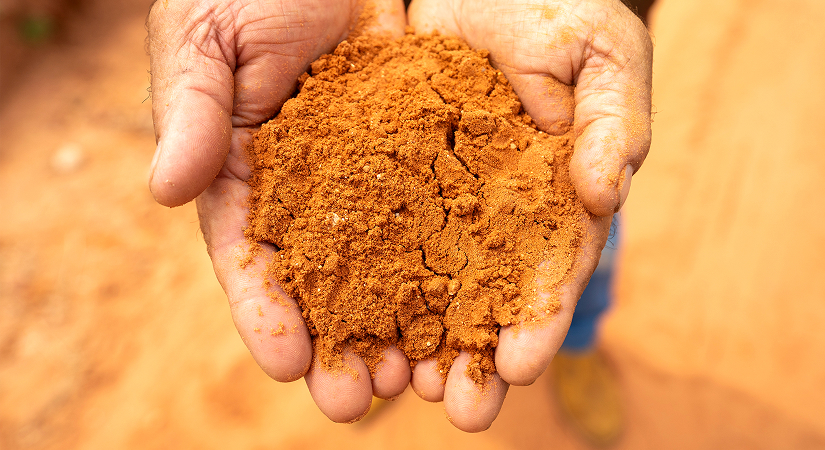 自然のサイクルが育んだ奇跡の土壌