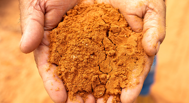 自然のサイクルが育んだ奇跡の土壌